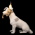 10312 Grey Настольная лампа LOFT IT Dog, изображение 6