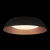 10229 Black Потолочный светильник LOFT IT Cappello, изображение 2