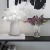 10231T White Настольная лампа LOFT IT Clizia, изображение 5