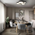 10218 Black Потолочный светильник LOFT IT Drum, изображение 7