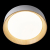 10202 White Потолочный светильник LOFT IT Coin, изображение 4
