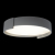 10200 Grey Потолочный светильник LOFT IT Coin, изображение 2