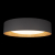 10202 Grey Потолочный светильник LOFT IT Coin, изображение 4