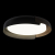10198 Black Потолочный светильник LOFT IT Coin, изображение 2