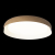 10198 White Потолочный светильник LOFT IT Coin, изображение 4