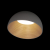10197/350 Grey Потолочный светильник LOFT IT Egg, изображение 2
