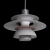 10113 Grey Подвесной светильник LOFT IT Floret, изображение 4