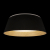 10224 Black Потолочный светильник LOFT IT Evans, изображение 2