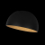 10197/350 Black Потолочный светильник LOFT IT Egg, изображение 5