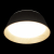 10224 Black Потолочный светильник LOFT IT Evans, изображение 4