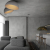 10197/350 Grey Потолочный светильник LOFT IT Egg, изображение 7