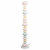 10271F/B Торшер LOFT IT Macaroon