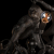 10314 Black Подвесной светильник LOFT IT Monkey, изображение 7