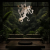 10314 White Подвесной светильник LOFT IT Monkey, изображение 10