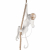 10314P Подвесной светильник LOFT IT Monkey, изображение 5