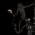10314 Black Подвесной светильник LOFT IT Monkey, изображение 9