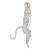 10314W/A Настенный светильник LOFT IT Monkey, изображение 3