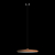 10119 Orange Подвесной светильник LOFT IT Plato, изображение 2