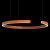 10025/600 Orange Подвесной светильник LOFT IT Ring, изображение 4