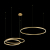 10017/3L Подвесной светильник LOFT IT Ring, изображение 2