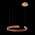 10025/400 Orange Подвесной светильник LOFT IT Ring, изображение 2