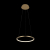 10014S Подвесной светильник LOFT IT Ring, изображение 2