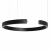 10025/600 Black Подвесной светильник LOFT IT Ring, изображение 3