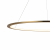 10014XL Подвесной светильник LOFT IT Ring, изображение 5