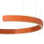 10025/400 Orange Подвесной светильник LOFT IT Ring, изображение 5