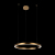 10013L Подвесной светильник LOFT IT Ring, изображение 2