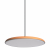 10119 Orange Подвесной светильник LOFT IT Plato, изображение 3
