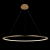 10014L Подвесной светильник LOFT IT Ring, изображение 4