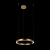 10013M Подвесной светильник LOFT IT Ring, изображение 2