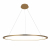 10014L Подвесной светильник LOFT IT Ring, изображение 3