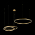 10017/3M Подвесной светильник LOFT IT Ring, изображение 2