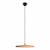 10119 Orange Подвесной светильник LOFT IT Plato