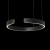 10025/400 Black Подвесной светильник LOFT IT Ring, изображение 4