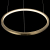 10014S Подвесной светильник LOFT IT Ring, изображение 4