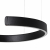 10025/400 Black Подвесной светильник LOFT IT Ring, изображение 5
