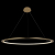 10014XXL Подвесной светильник LOFT IT Ring, изображение 2