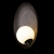 10237W Black Настенный светильник LOFT IT Wonders, изображение 6