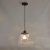 4996/1 MODERN ODL23 303 черный/прозрачный/металл/стекло Подвес E27 1*40W CAPRA, изображение 2