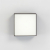 Citilux Тао CL712X122N LED Светильник потолочный с диммером Чёрный, изображение 10