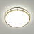Citilux Бостон CL709503N LED Люстра с диммером Бронза, изображение 9