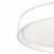 Citilux BOSS CL751350G LED RGB Светильник с пультом Белый, изображение 7