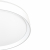Citilux BOSS CL751350G LED RGB Светильник с пультом Белый, изображение 8