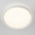 Citilux BOSS CL751350G LED RGB Светильник с пультом Белый, изображение 2