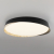 Citilux BONNY CL754451G LED RGB Светильник с пультом Чёрный + Клён, изображение 6