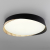 Citilux BONNY CL754351G LED RGB Светильник с пультом Черный+Клён, изображение 5