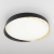 Citilux BONNY CL754351G LED RGB Светильник с пультом Черный+Клён, изображение 2